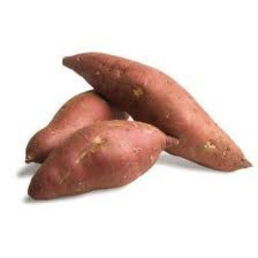 Organic Jewel Sweet Potato