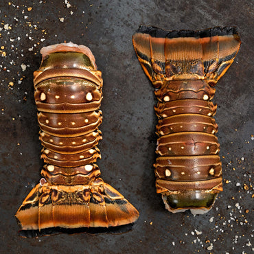 SPINY FLORIDA LOBSTER TAIL (2PC)