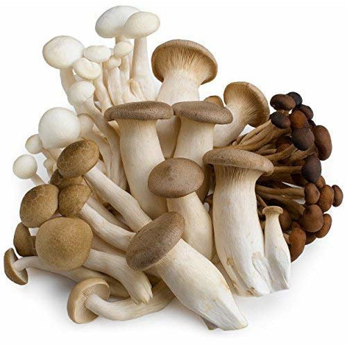 Mushroom Sampler Chef's Organic, 8 Ounce