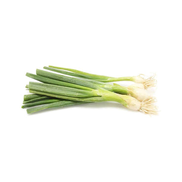 Green Onion (Scallions) Organic, 1 Bunch