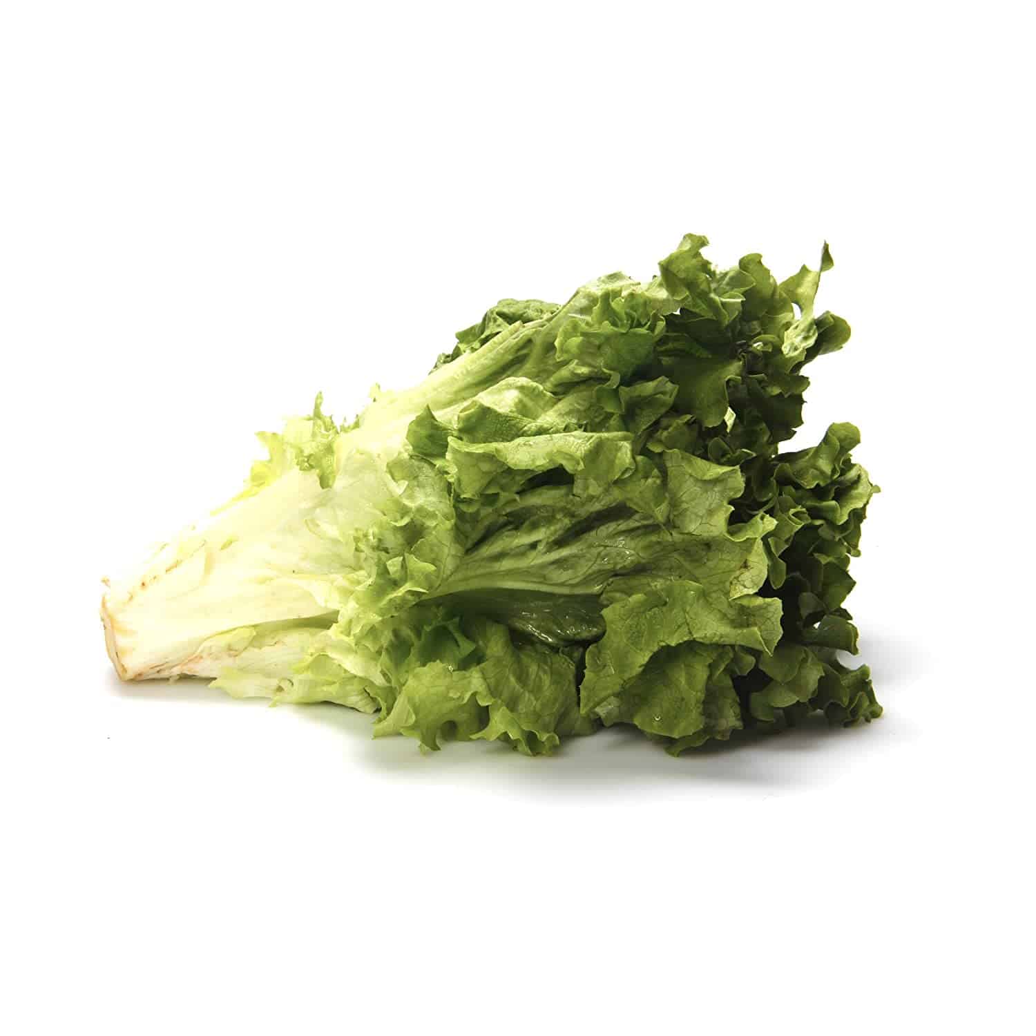 Lettuce Green Leaf Organic, 1 Each