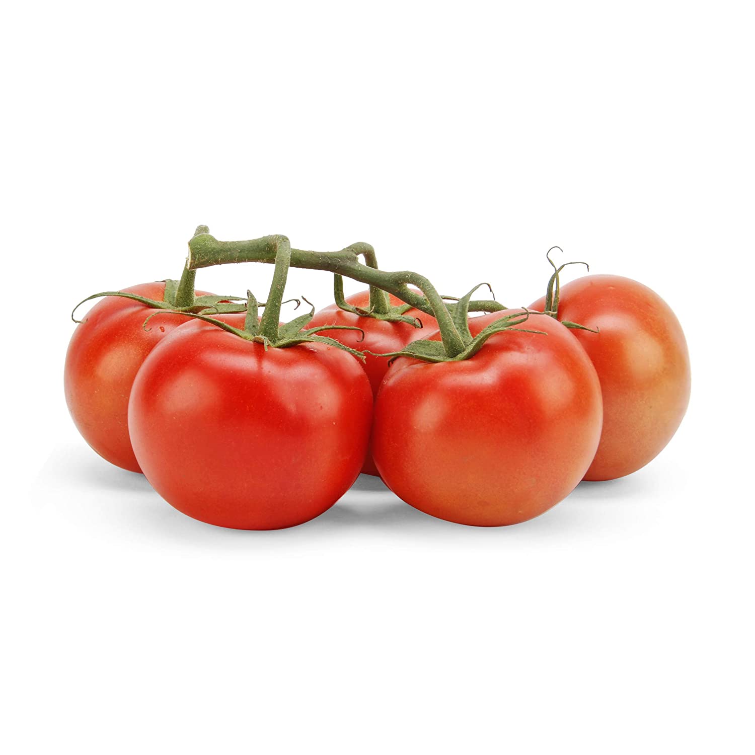 Tomato On The Vine Organic