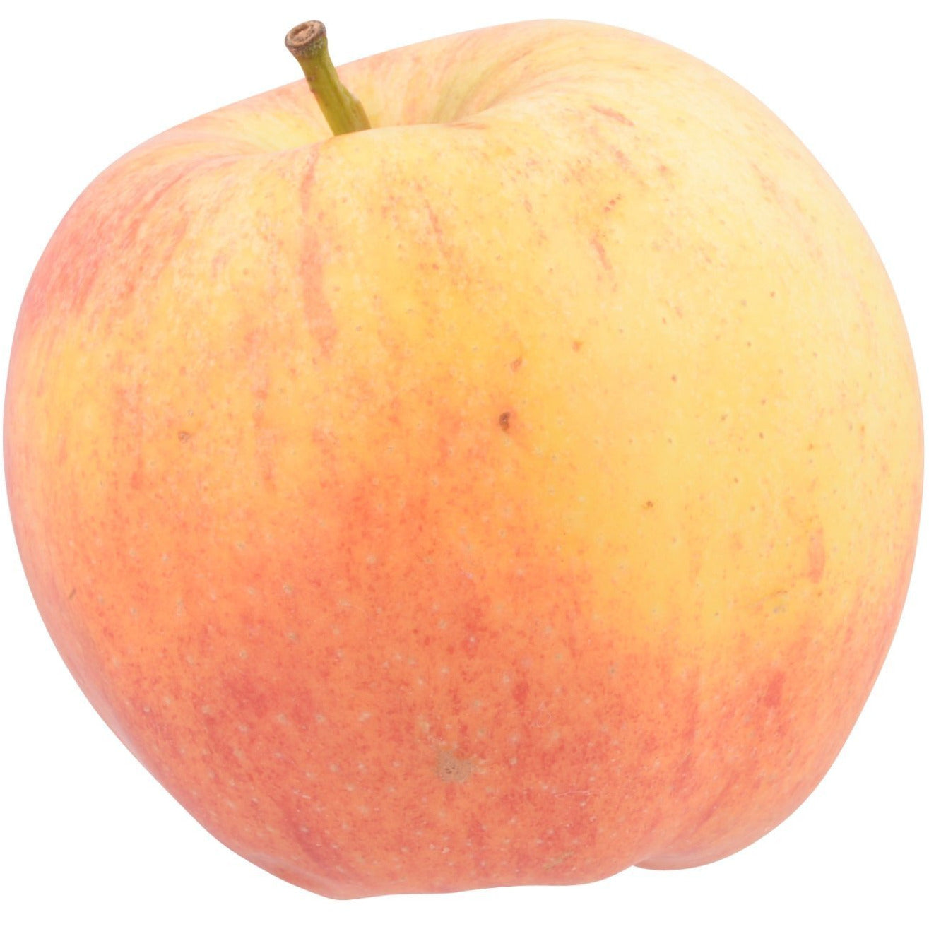 Oasis Fresh Apple Gala Organic (1lb)