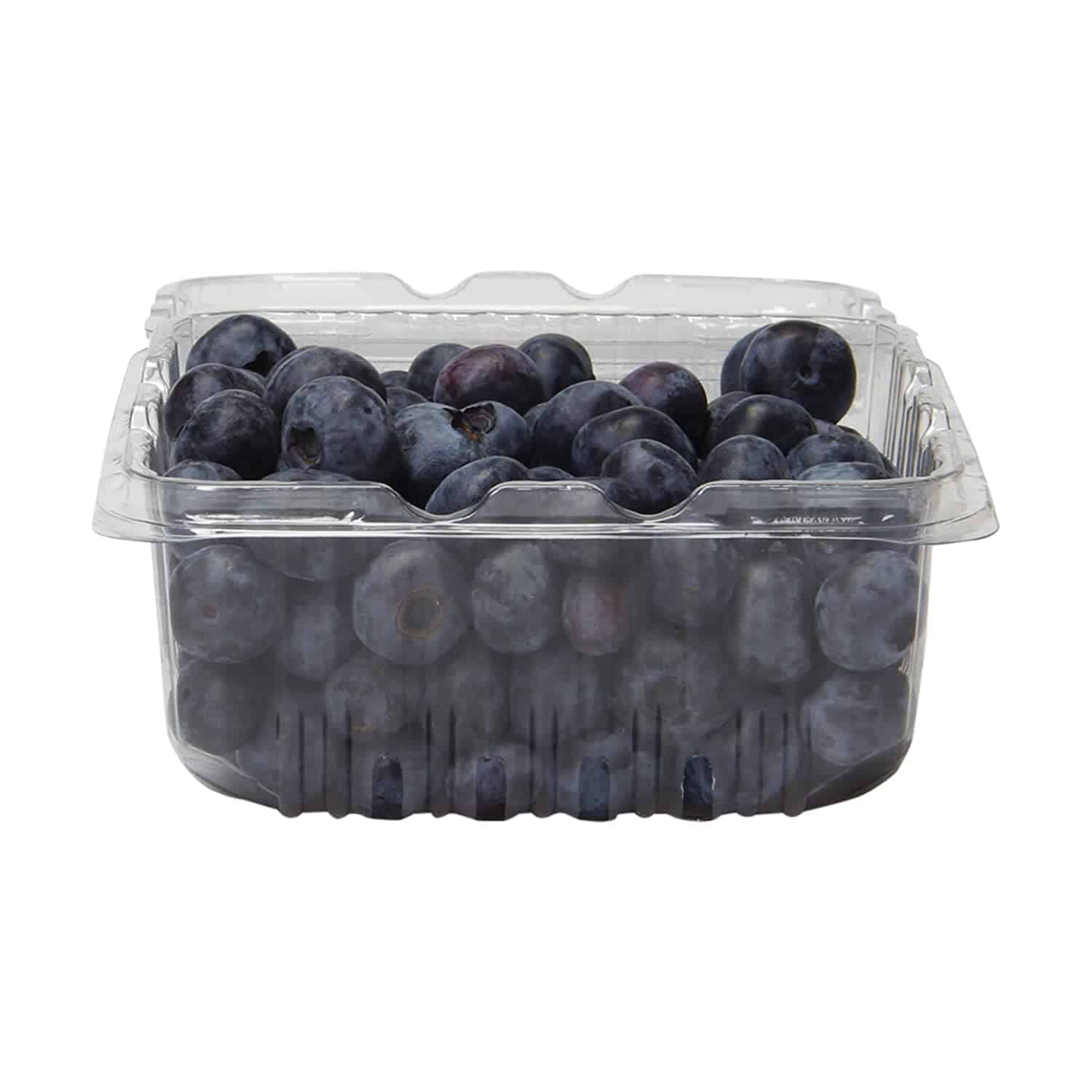 Berry Blueberry Conventional, 16 Ounce