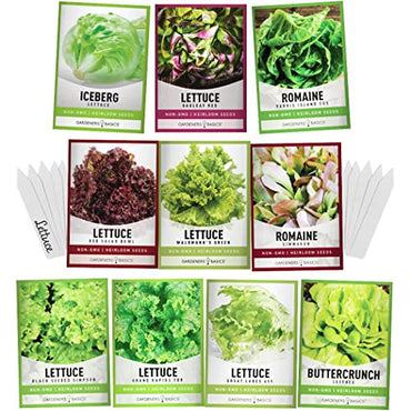 Salad Greens Lettuce Seeds Heirloom Vegetable Seed 23,000 Seeds for Planting Indoors and Outdoor 10 Packs - Buttercrunch, Romaine, Iceberg, (and More) Leaf and Head Variety Pack by Gardeners Basics