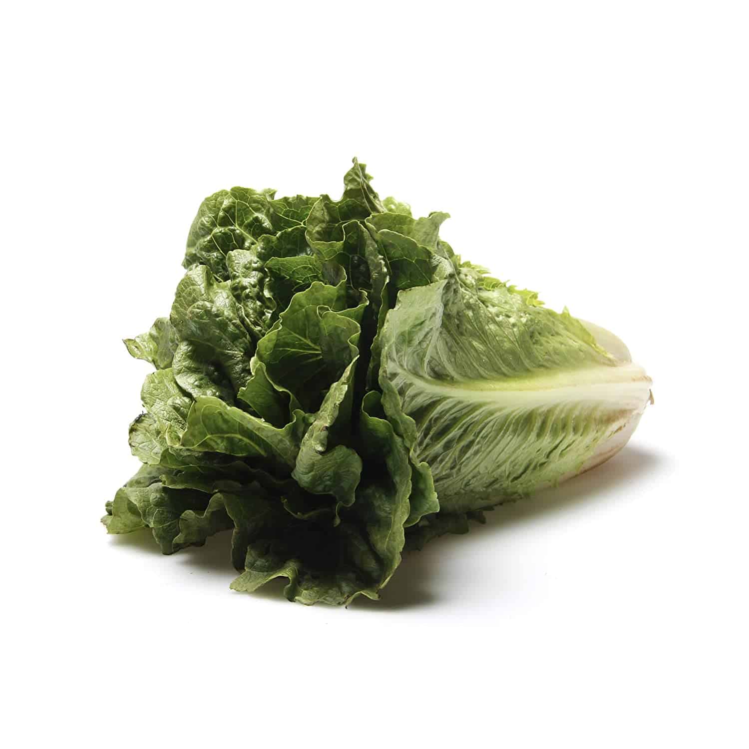 Lettuce Romaine Organic, 1 Each