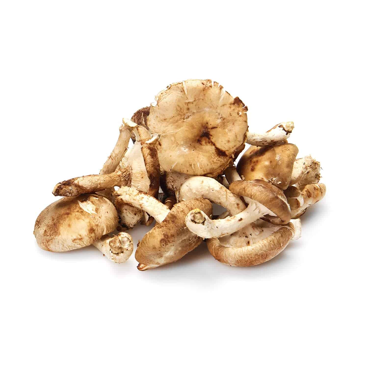 Mushroom Shiitake Organic, 0.5lb