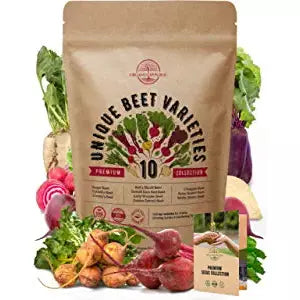 10 Rare Beet Seeds Variety Pack for Planting Indoor & Outdoors 1000+ Heirloom Non-GMO Bulk Beets Gardening Seeds: Chioggia, Detroit Dark Red, Sugar, Cylindra, Golden, Bulls Blood, White Albino & More