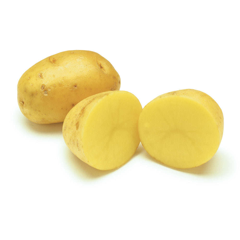 Oasis Fresh, Potato Yellow Bag Organic, 24 Ounce