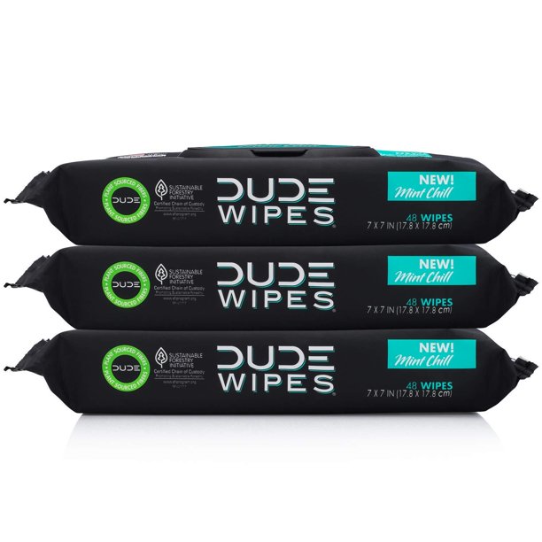 DUDE Wipes Flushable Wet Wipes, Mint Chill Scent, 3 Packs of 48 Wipes, 144 Total Wipes
