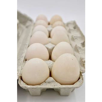 Duck Eggs Large (1 Dozen)