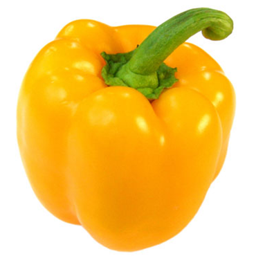 PEPPERS YELLOW LARGE HOT HOUSE